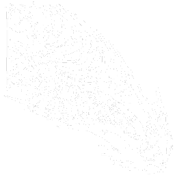 Velonasaur